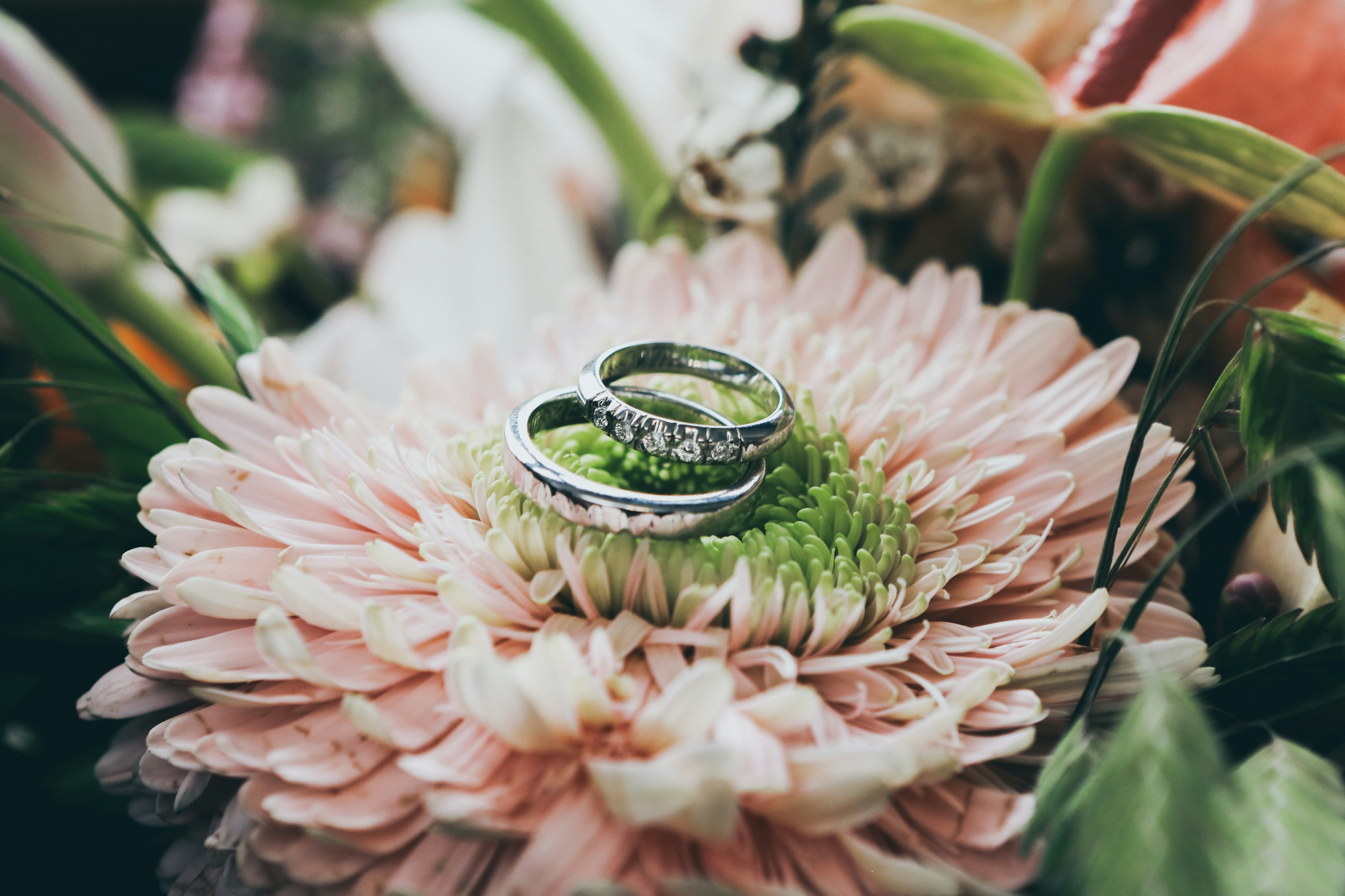 Promise Rings